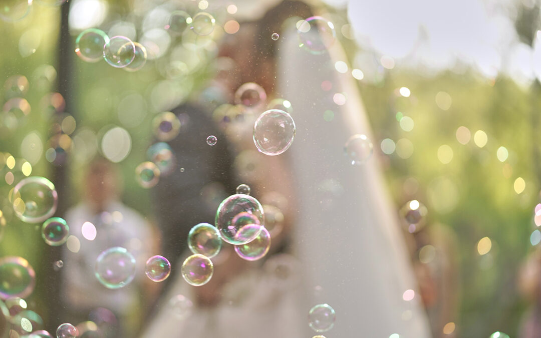 Leave the Birdseed Behind: Celebrate with Bubbles Instead